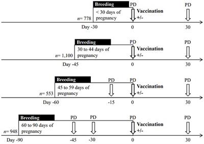 Effect of Foot-and-Mouth Disease Vaccine on Pregnancy Failure in Beef Cows